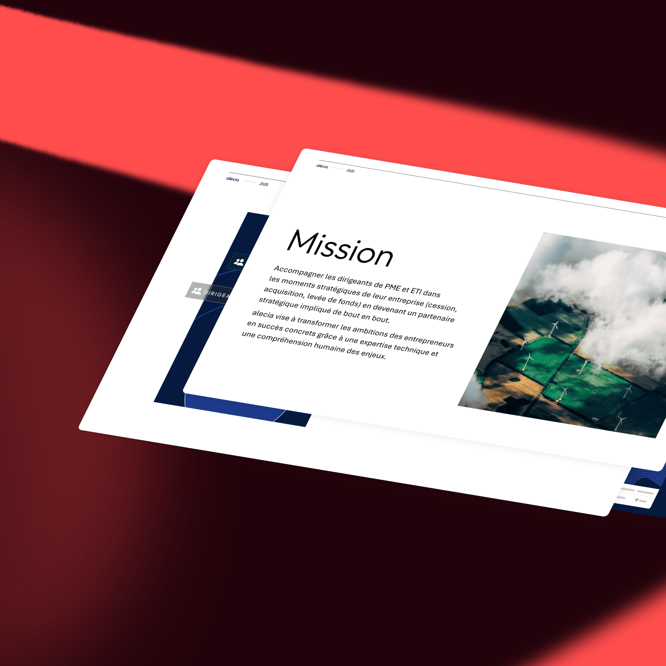 Overview of Alecia brand book